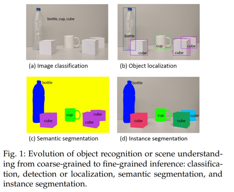 Evolution of object recognition